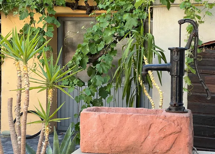 Zum Feti Und Restaurant